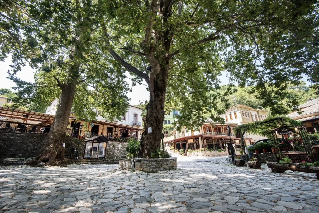 adama pelion villa & guesthouse